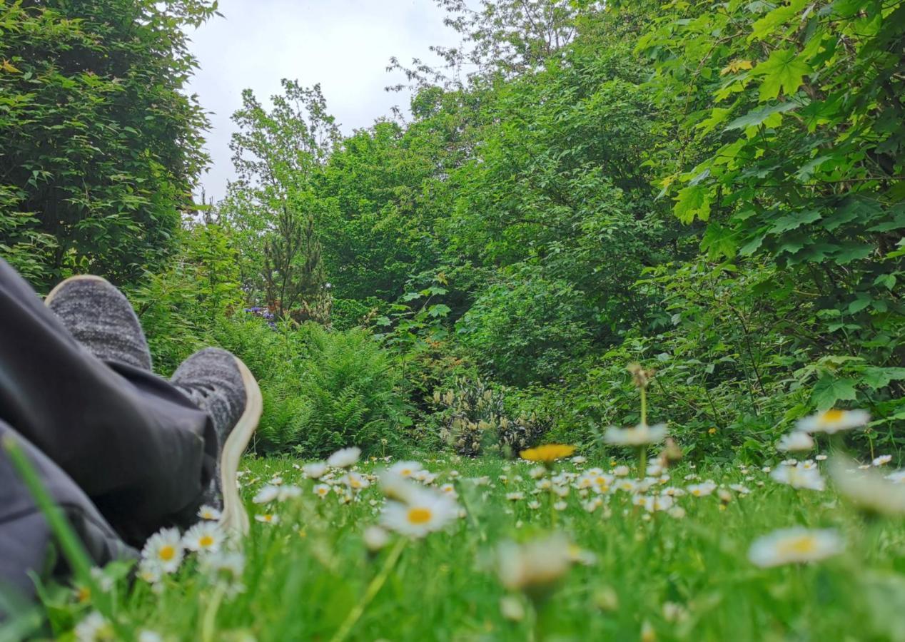 Vor Lauter Baeumen B&B Zorge Exteriér fotografie