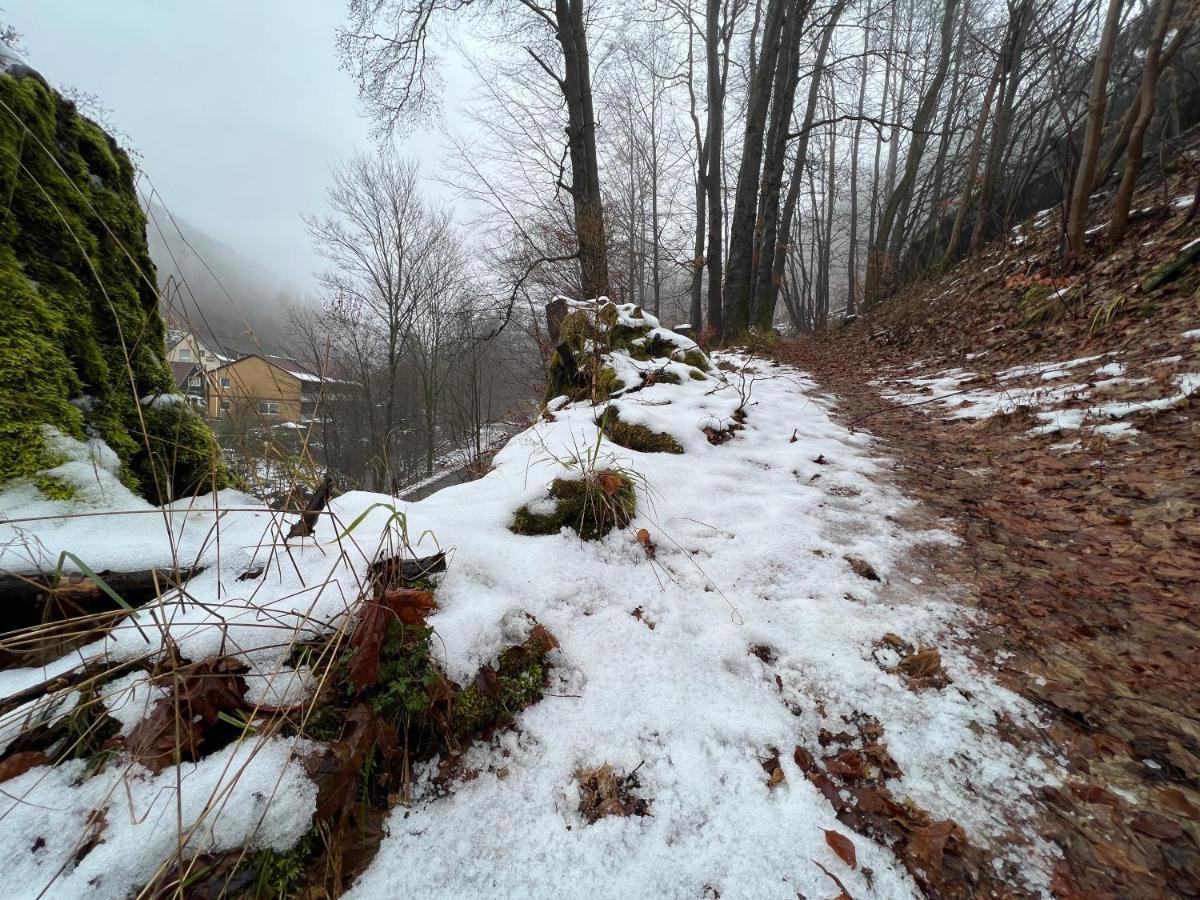 Vor Lauter Baeumen B&B Zorge Exteriér fotografie