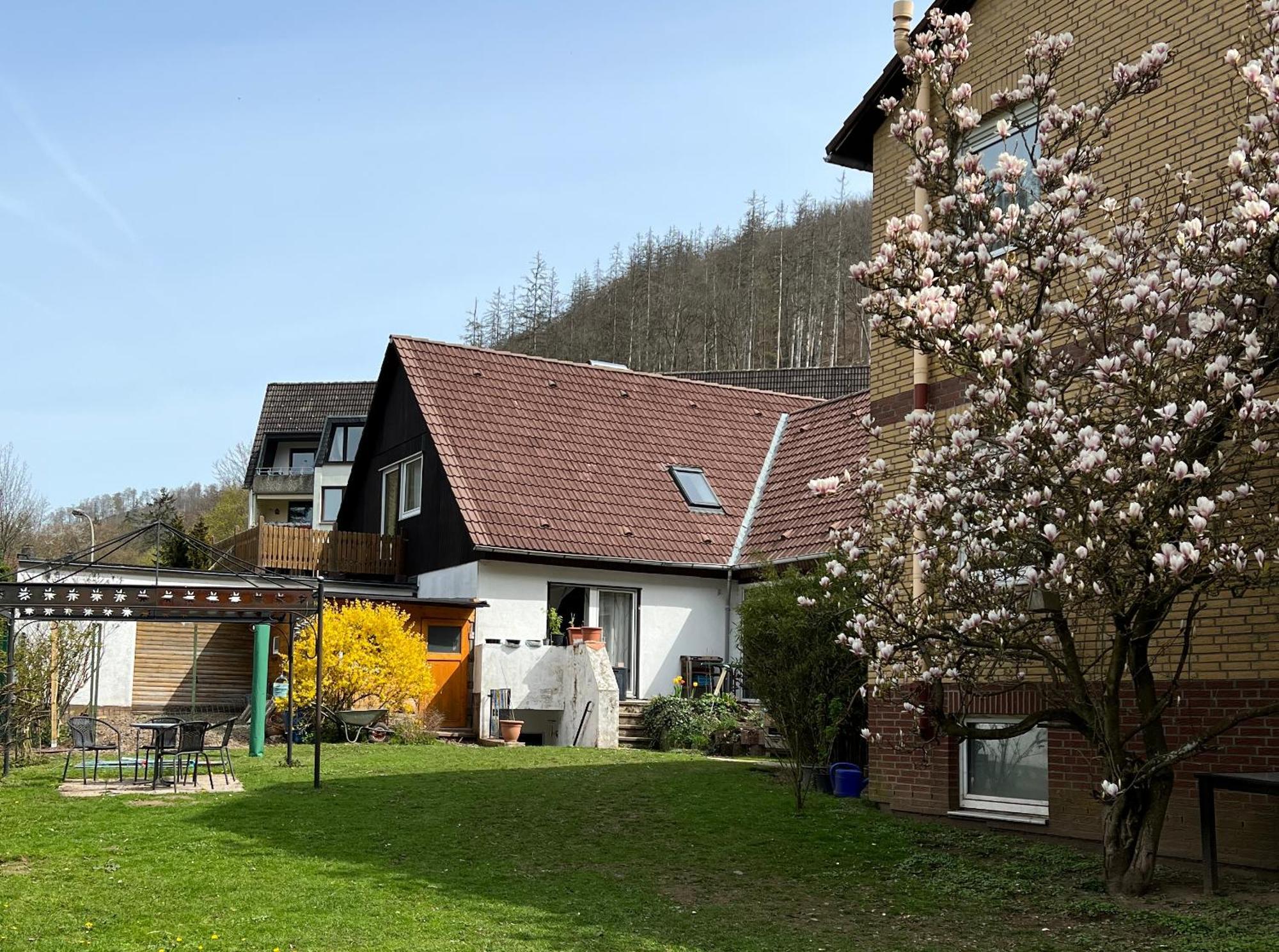 Vor Lauter Baeumen B&B Zorge Exteriér fotografie