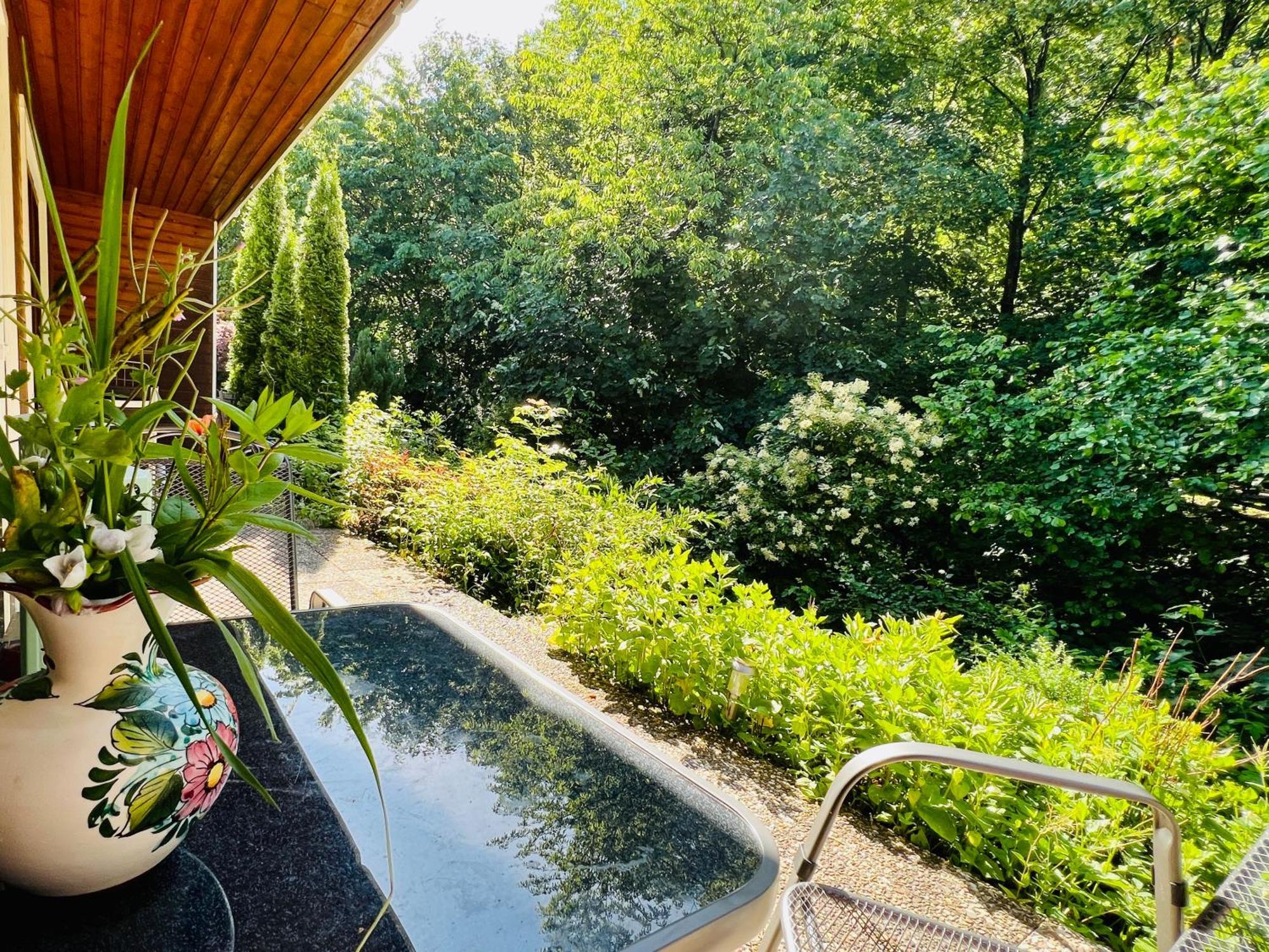 Vor Lauter Baeumen B&B Zorge Exteriér fotografie